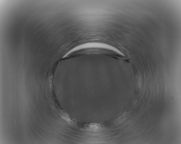 X0000066930475200604071851