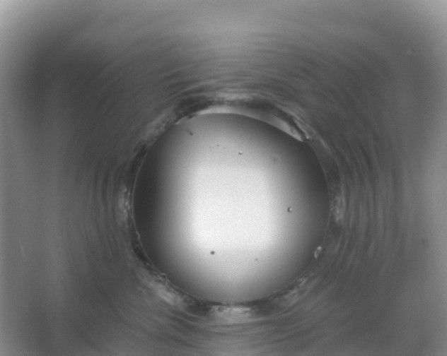 X0000066930476200604071851