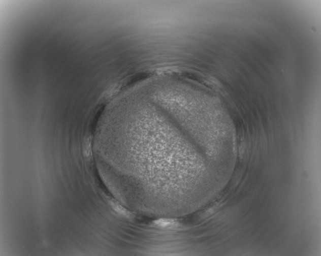 X0000066930477200604071851