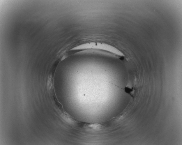 X0000066930478200604071851