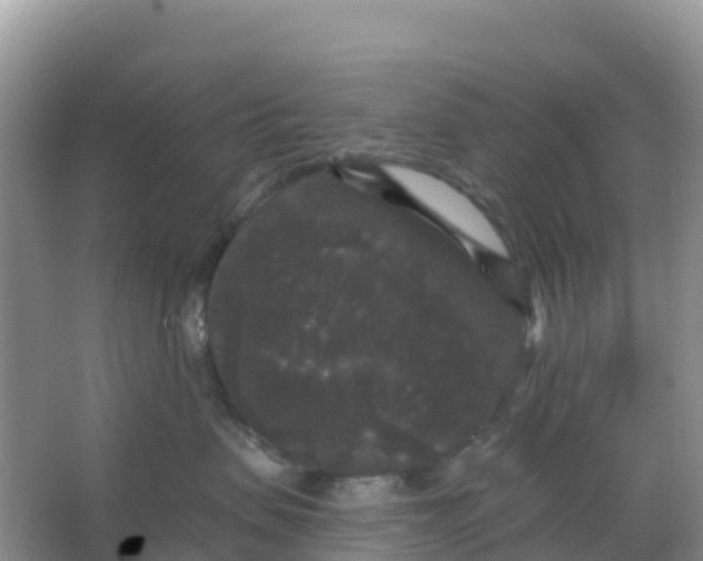 X0000066930479200604071851