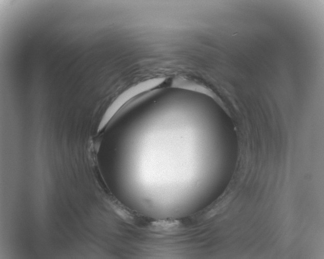 X0000066930480200604071851