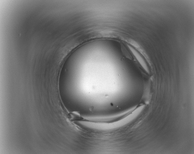 X0000066930481200604071850