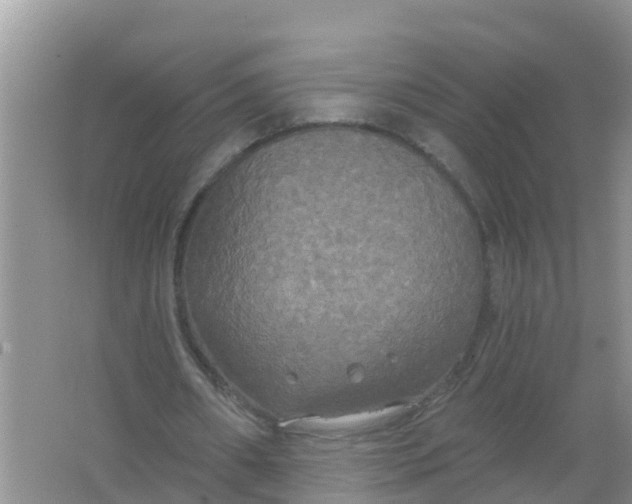 X0000066930482200604071850