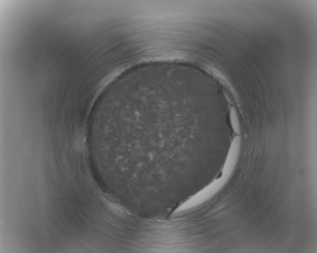 X0000066930483200604071850