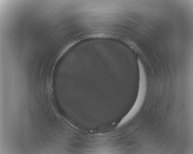 X0000066930484200604071850