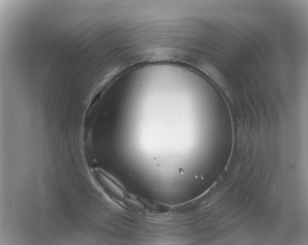 X0000066930485200604071850