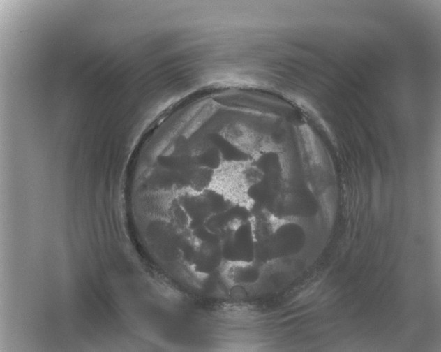 X0000066930487200604071850