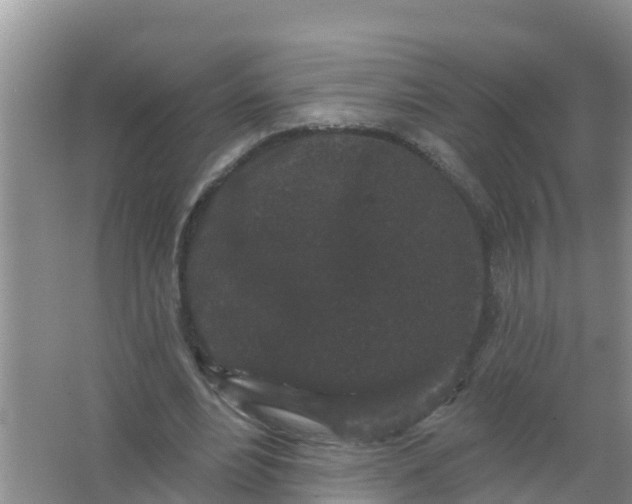 X0000066930488200604071850