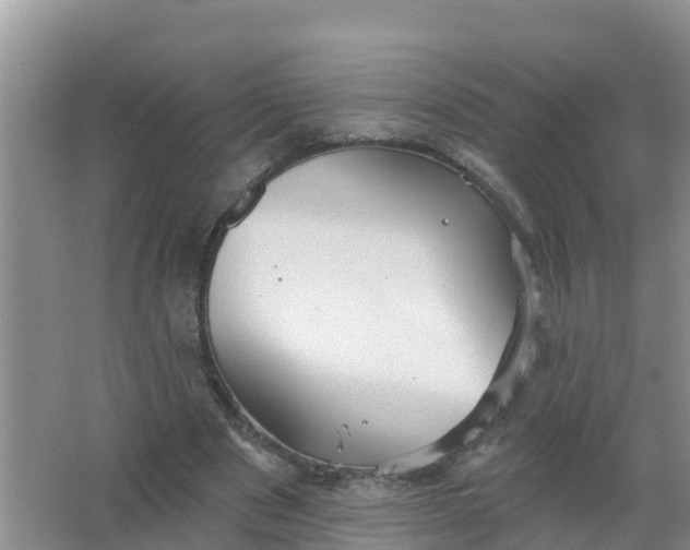 X0000066930489200604071850