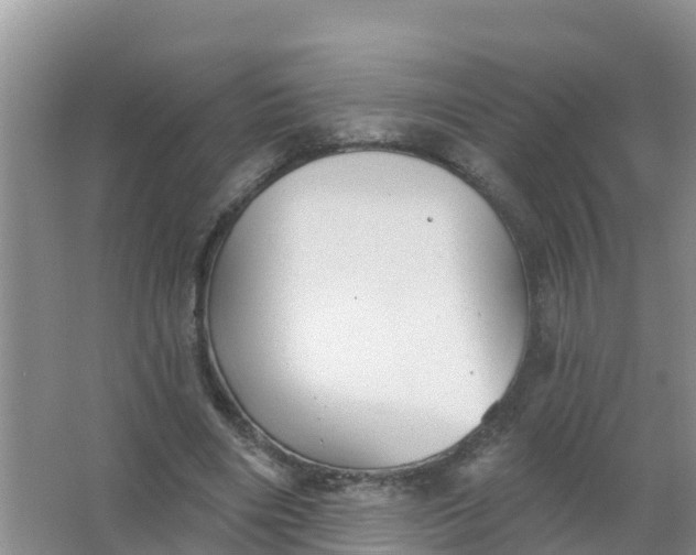 X0000066930490200604071850