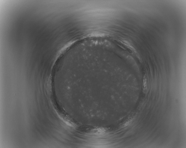 X0000066930492200604071850