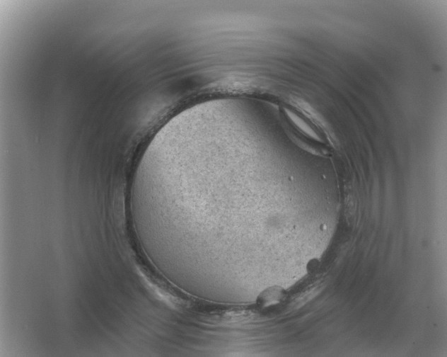 X0000066930493200604071850