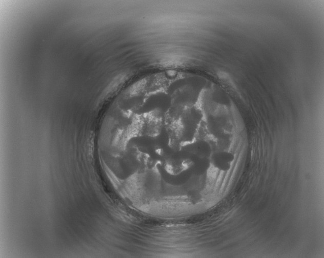 X0000066930495200604071850