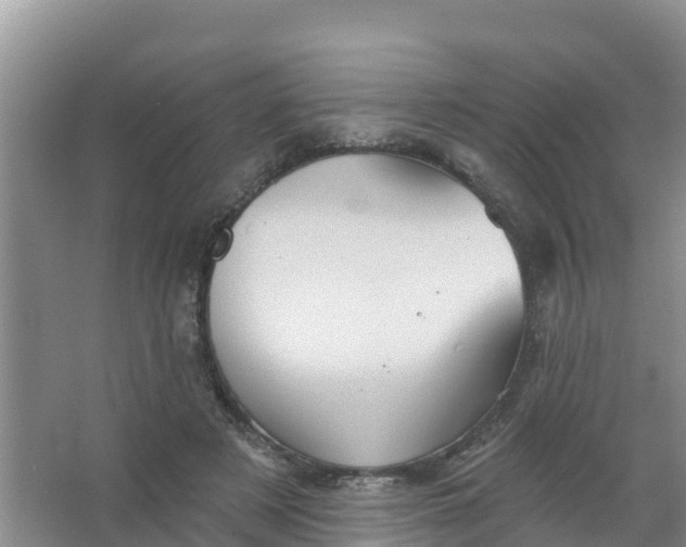 X0000066930497200604071850