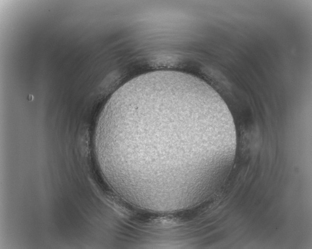 X0000066930498200604071850