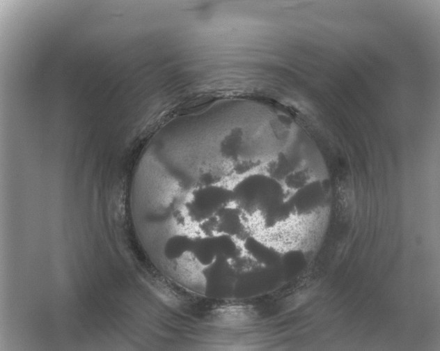 X0000066930499200604071850