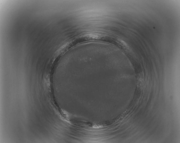 X0000066930500200604071850