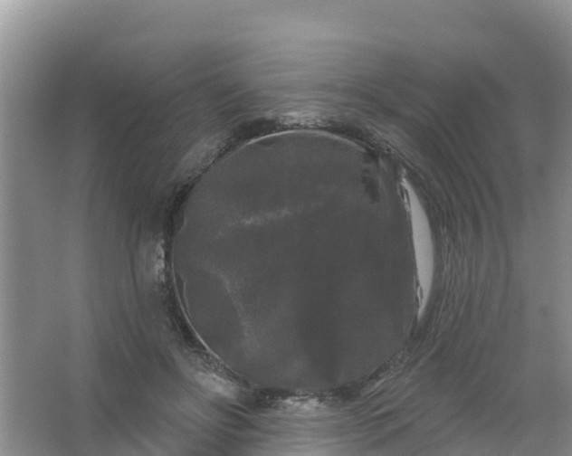 X0000066930502200604071850