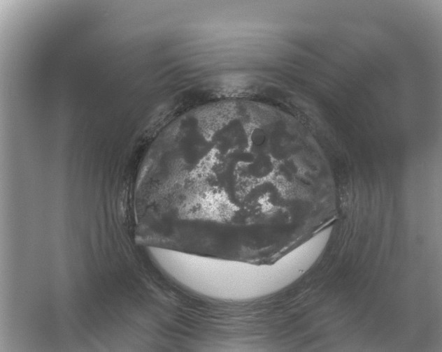 X0000066930503200604071850