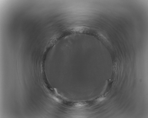 X0000066930504200604071850