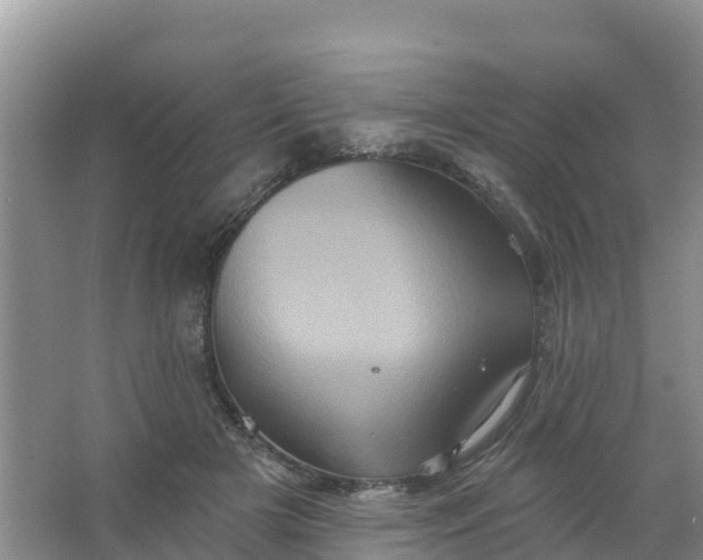 X0000066930505200604071850