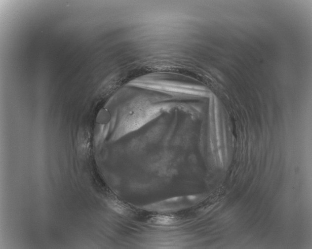 X0000066930507200604071850