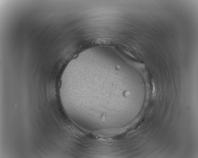 X0000066930508200604071850