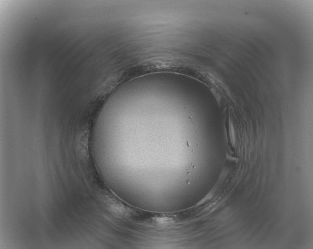 X0000066930509200604071850