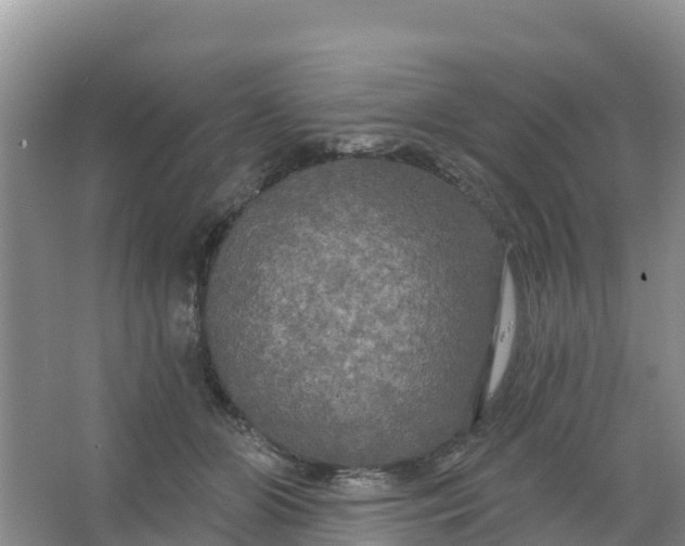 X0000066930510200604071850