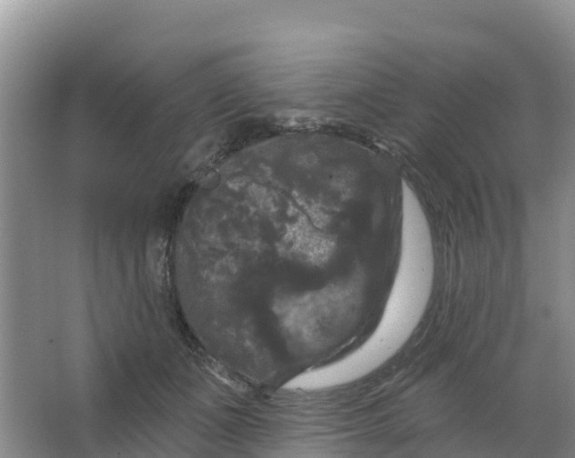 X0000066930511200604071850