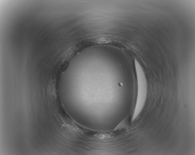 X0000066930512200604071850