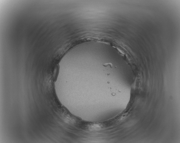 X0000066930513200604071850