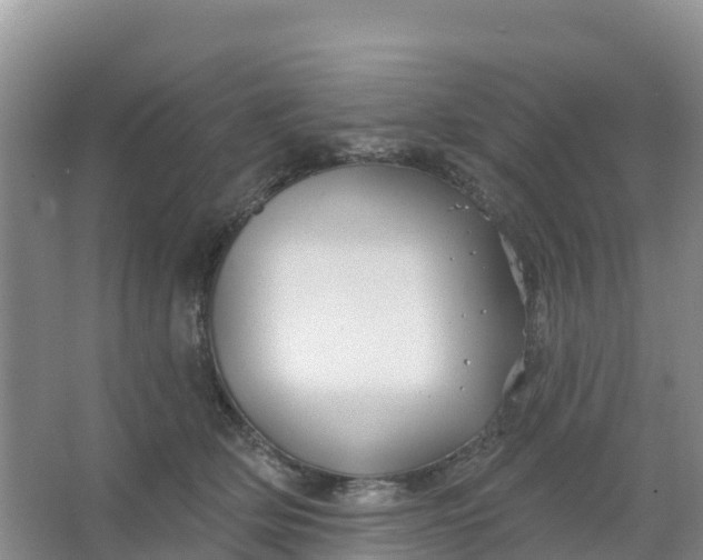 X0000066930514200604071850