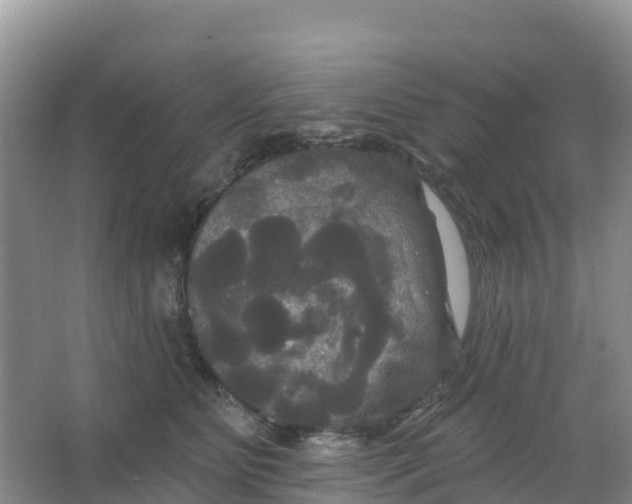 X0000066930515200604071850