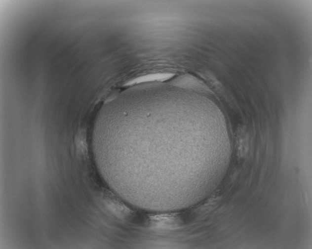 X0000066930516200604071850