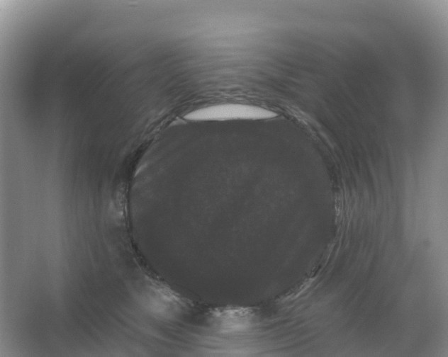 X0000066930517200604071850