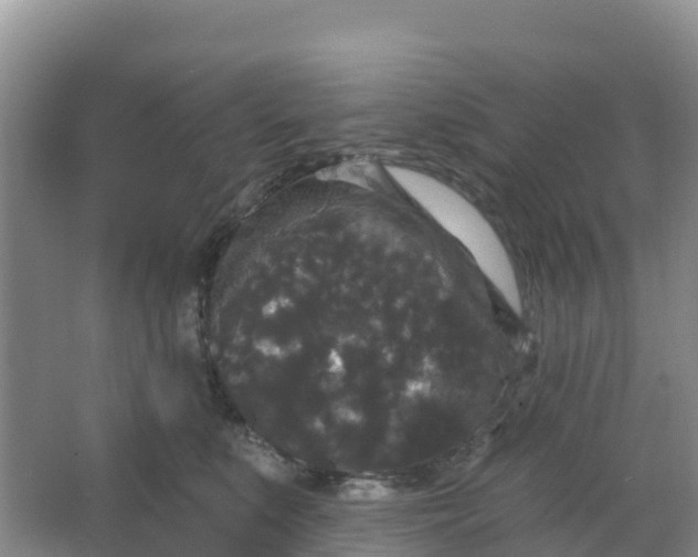 X0000066930519200604071849