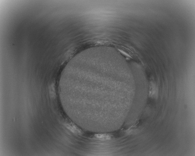 X0000066930520200604071849