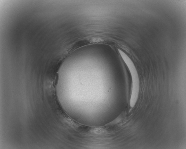 X0000066930521200604071849