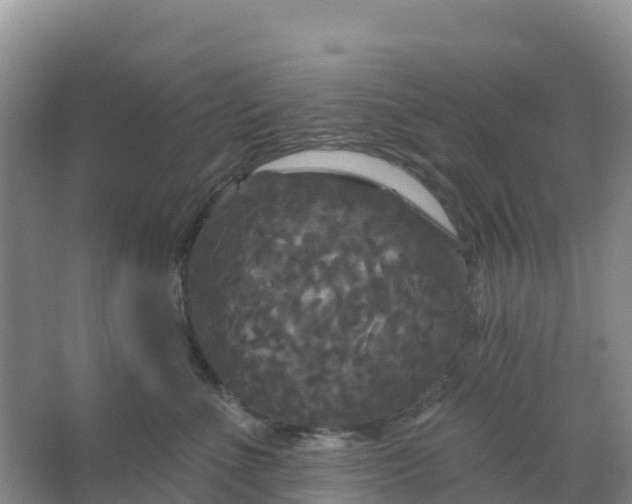 X0000066930523200604071849