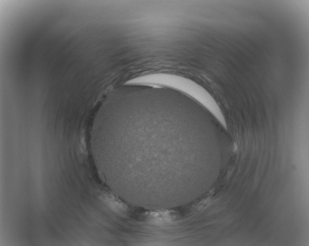 X0000066930524200604071849