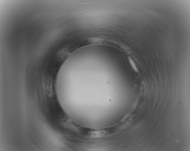 X0000066930525200604071849