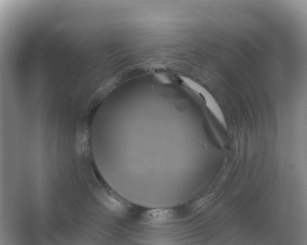 X0000066930526200604071849