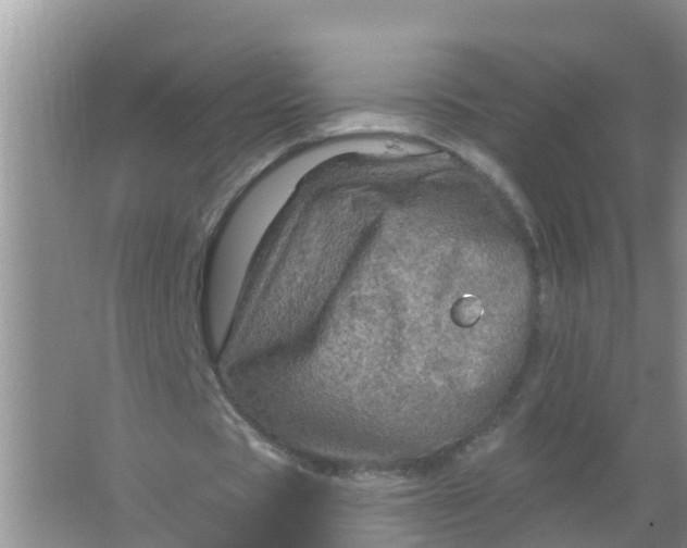 X0000066930529200604071849