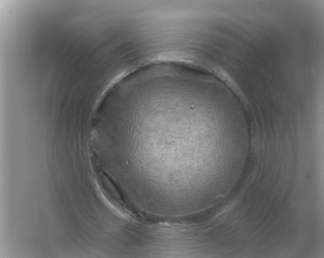 X0000066930530200604071849