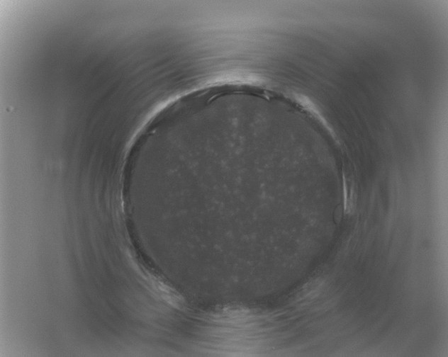 X0000066930531200604071849