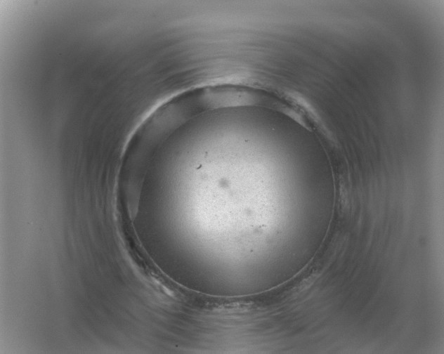 X0000066930532200604071849