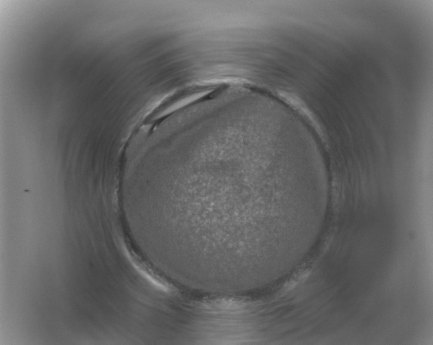 X0000066930533200604071849