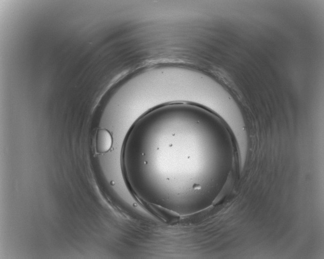 X0000066930534200604071849